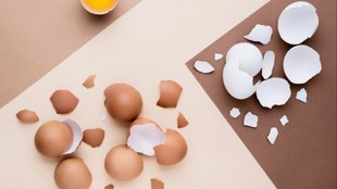 How to use eggshells for plants fertilizer