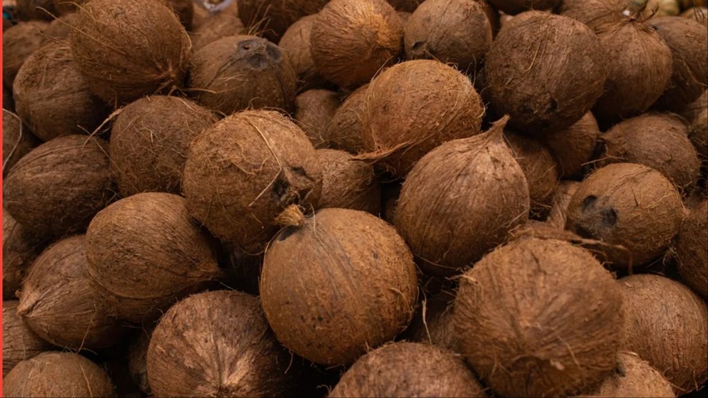 how to identify coconut with more water