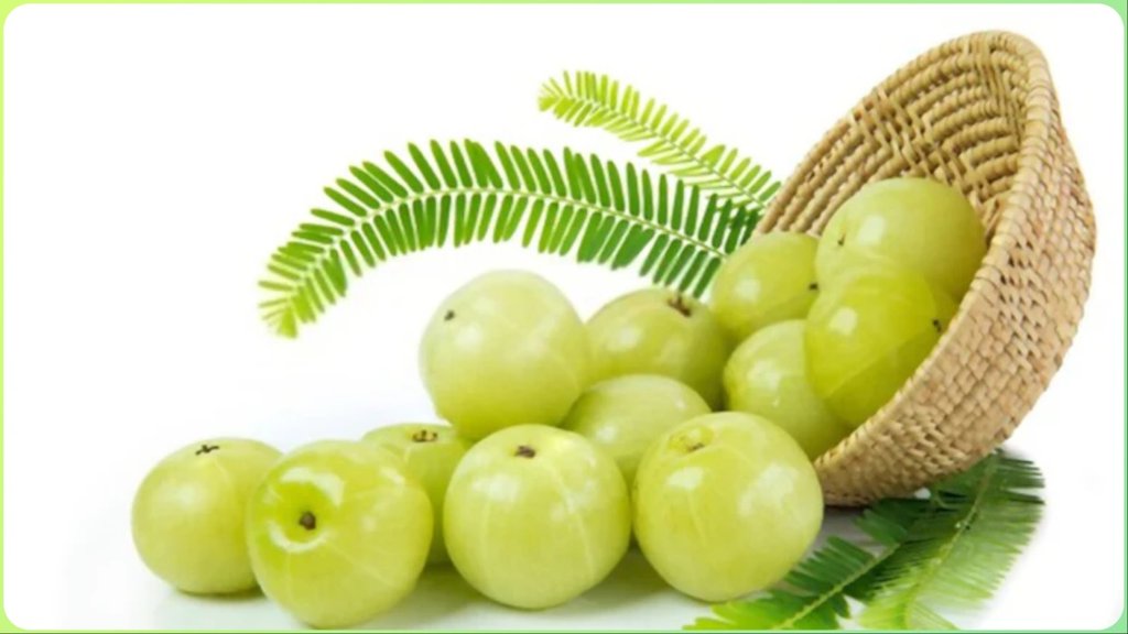 how to use amla for grey hair