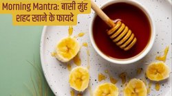 Morning Mantra: खाली पेट बस 1 चम्मच चाट लें ये चीज, Instant Energy आ जाएगी