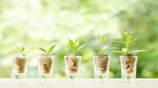 Mutual Fund, Investment, Mutual Fund Investment