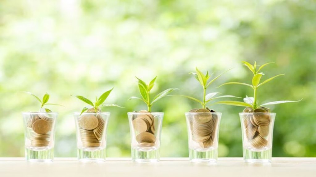 Mutual Fund, Investment, Mutual Fund Investment