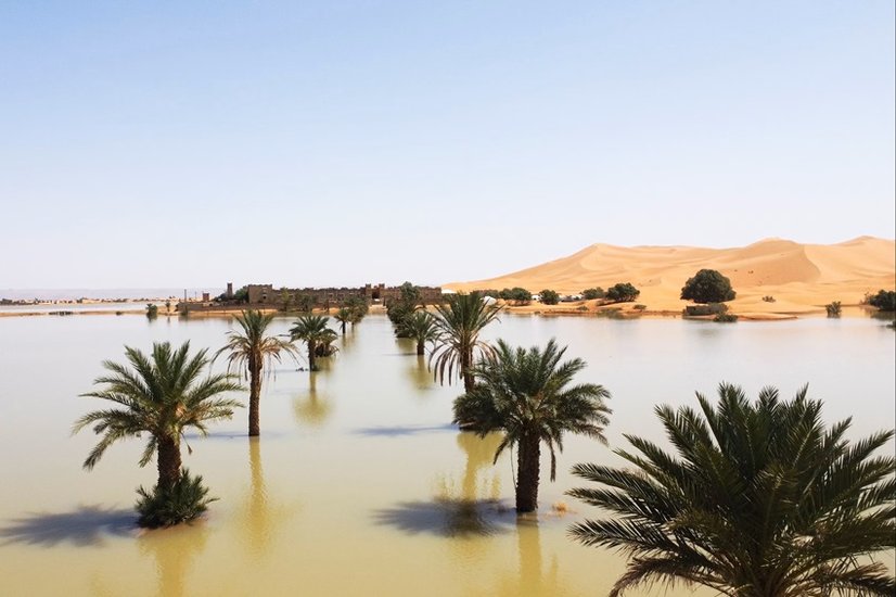 Morocco_Desert_Rain