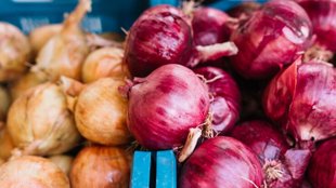 Onion Storage Tips । Onion Storage । onion storage temperature