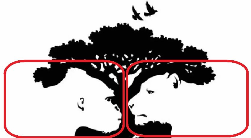 Optical-illusion-has-two-animals-and-first-one-you-see-determines-traits answer
