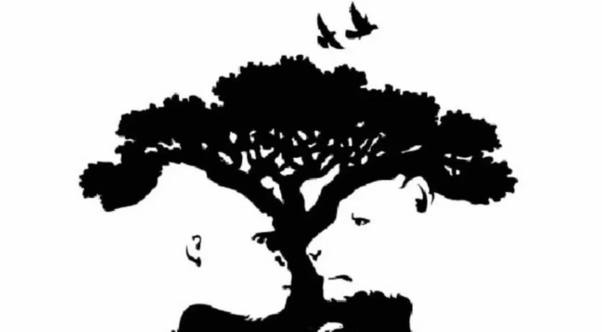 Optical-illusion-has-two-animals-and-first-one-you-see-determines-traits