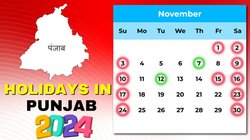 Punjab November Holidays 2024: नवंबर में छुट्टियां ही छुट्टियां, जानिए कब-कब रहेगा अवकाश