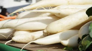 Radish, nutrition, health, poison, milk, skin disease risk, radish and milk, radish consumption time radish benefits, foods avoid with raddish, radish harms, Wrong Food Combination, bad food combinations, worst food combinations for health, worst food combinations for digestion, food combinations to avoid as per ayurveda, foods to avoid with radish, ayurvedic diet tips, ayurveda eating tips,