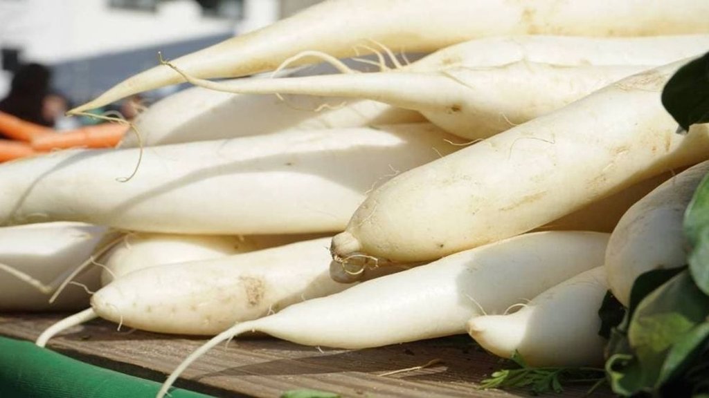 Radish, nutrition, health, poison, milk, skin disease risk, radish and milk, radish consumption time radish benefits, foods avoid with raddish, radish harms, Wrong Food Combination, bad food combinations, worst food combinations for health, worst food combinations for digestion, food combinations to avoid as per ayurveda, foods to avoid with radish, ayurvedic diet tips, ayurveda eating tips,