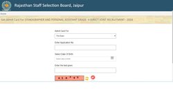 RSMSSB Stenographer/ PA admit card 2024 जारी, डायरेक्ट लिंक के साथ जानें हॉल टिकट डाउनलोड करने की पूरी जानकारी