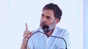 Rahul Gandhi, congress, bjp, haryana chunav, haryana elections, haryana news,