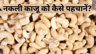 Real vs Fake Cashews । Diwali 2024 । How To Identify Real Cashew