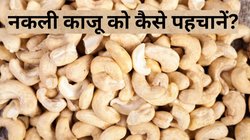 Real vs Fake Cashews: दिवाली पर आपके सेलिब्रेशन को फीका कर सकता है नकली काजू, इस तरह आसानी से करें पहचान