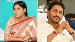 पूर्व सीएम जगन मोहन रेड्डी ने बहन शर्मिला के खिलाफ NCLT में क्यों दायर की याचिका, लगाया बड़ा आरोप