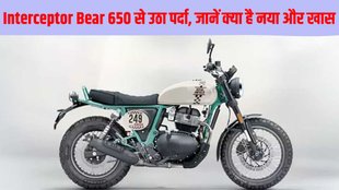 Royal Enfield Interceptor Bear 650, Royal Enfield Interceptor Bear 650 unveiled, Royal Enfield Interceptor Bear 650 launch date, Royal Enfield Interceptor Bear 650 design