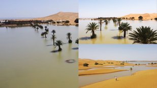 Sahara desert green landscapes