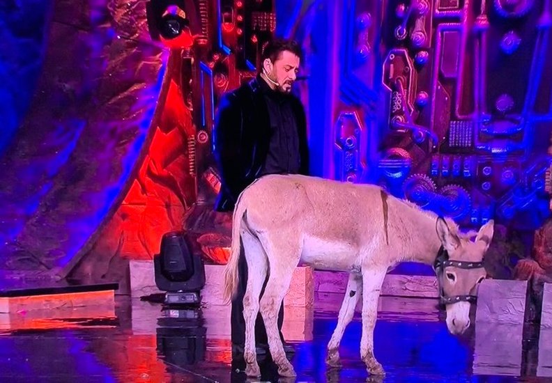 Salman Khan