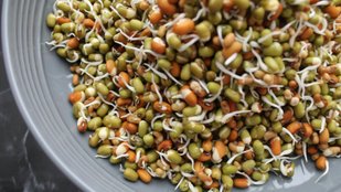 Sprouts for gut health