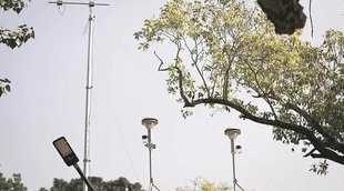Delhi Government, Street Light