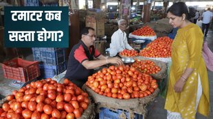 tomato price today in delhi ncr mumbai, tomato price in delhi ncr