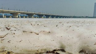 Delhi Weather, Toxic Fog in Yamuna