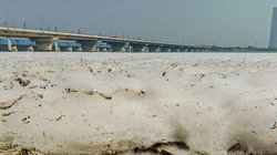 छठ पूजा से पहले यमुना नदी में फैला झाग, दिल्ली की हवा भी हुई जहरीली, सरकार ने बनाया विंटर एक्शन प्लान
