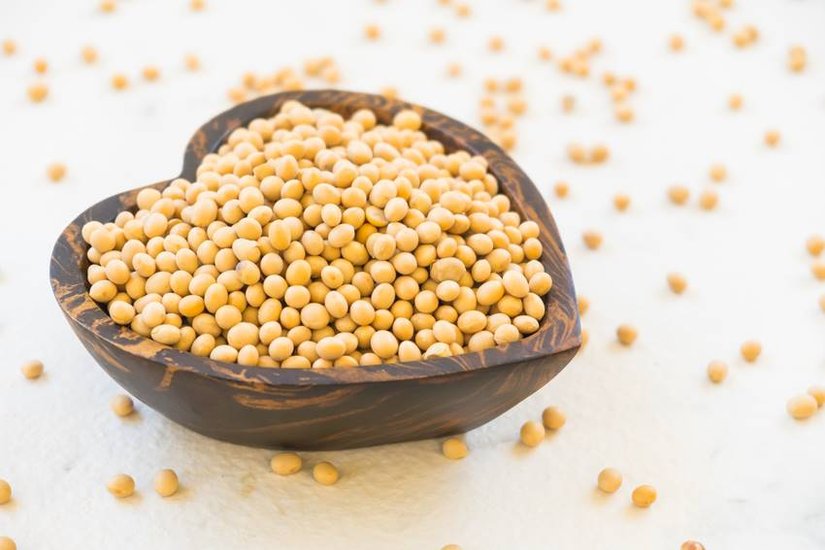 Vitamin D found in these foods