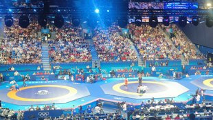 WFI, WFI Withdraws from world championships, wfi withdraws india from world championships, india withdraws from world championships