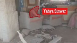 ड्रोन पर फेंका डंडा, टूटी इमारत में छिपा बैठा था सिनवार… मौत से पहले का सामने आया VIDEO