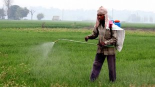 agriculture and biotechnology field,
