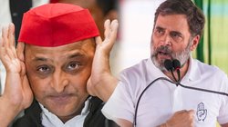 यूपी उपचुनाव में इंडिया गठबंधन की होगी कड़ी परीक्षा, कांग्रेस की चाल में फंसते दिख रहे अखिलेश यादव