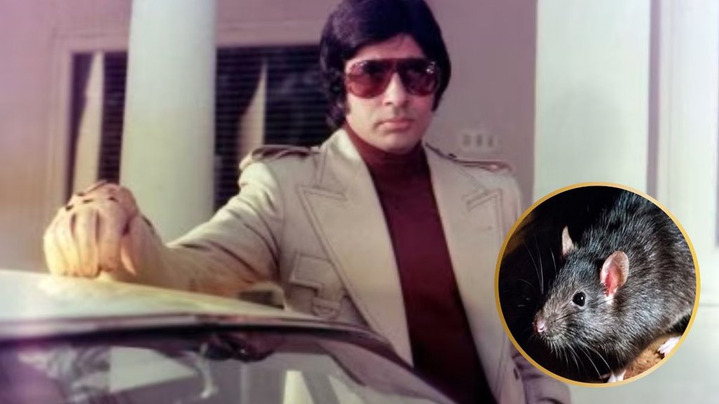 Amitabh bachchan birthday