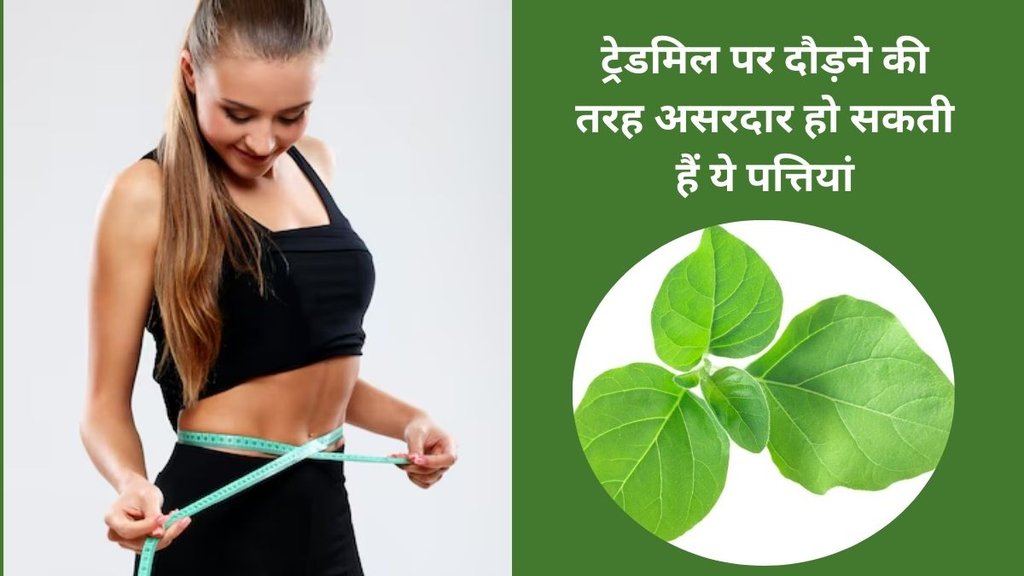 weight loss diet, weight loss karne ka tareeka, tips to lose weight, weight loss tips, 4 tips to lose weight, how to lose weight, weight loss, weight kaise kam kare, pet kaise kam kare, pet kam karne ka tareekaa, fat kam karne ka tareekaa,
