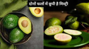 weight loss diet,Nutritional Benefits,Healthy Fruits,healthy fat,Guava,Dietary Fiber,Avocado vs Guava Benefits,Avocado vs Guava,Avocado benefits