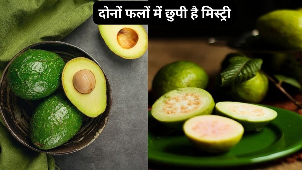 weight loss diet,Nutritional Benefits,Healthy Fruits,healthy fat,Guava,Dietary Fiber,Avocado vs Guava Benefits,Avocado vs Guava,Avocado benefits