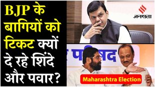 Why are CM Shinde and Ajit Pawar giving tickets BJP leaders
