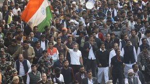 bharat jodo yatra, Haryana elections