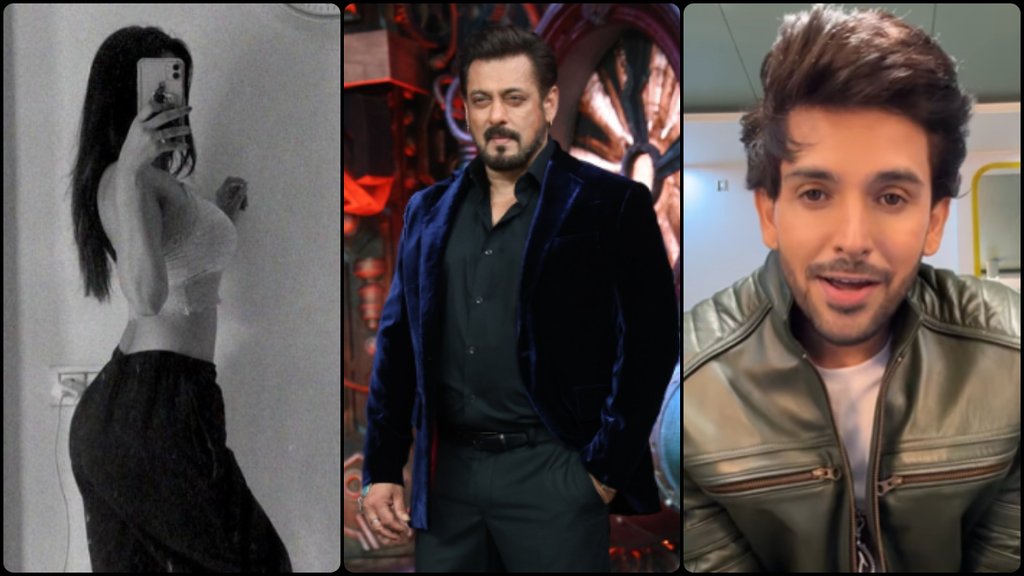 Bigg Boss 18 Wild Card
