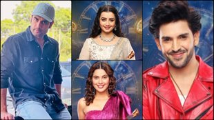 Bigg Boss 18 Contestants Full List