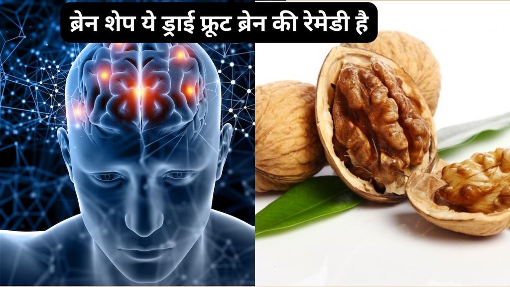 Nut for Gut Health, wallNut for Gut Health, how wallnut increase good bacteria at intestine, how to improve gut health,The Benefits of Walnuts for Gut Health Nut for Gut Health, wallNut for Gut Health, how wallnut increase good bacteria at intestine, how to improve gut health,The Benefits of Walnuts for Gut Health
