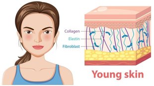 collagen foods, how to increase collagen naturally in body, कोलेजन क्या है, कोलेजन क्यों जरूरी है, कोलेजन के लिए क्या खाएं,vegetarian sources of collagen-boosting nutrients,Importance of collagen,