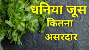धनिया का जूस अधिक पीने से शरीर पर क्या पड़ता है असर, यहां जानें फायदे और नुकसान
