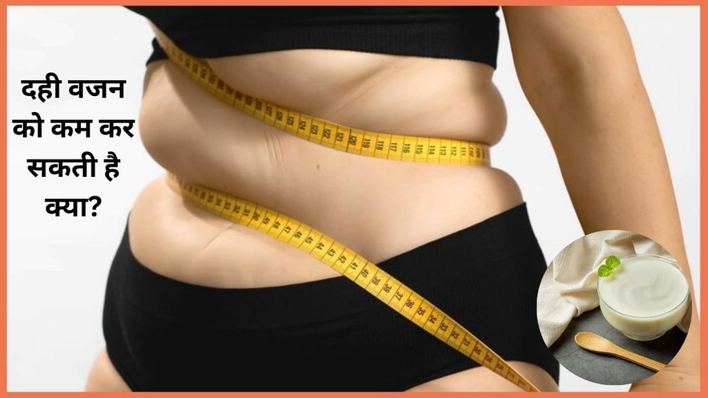 weight loss, weight loss tips,how to lose belly fat,consume curd for weight loss,Curd for weight loss, weight loss, weight loss food, weight loss diet, weight loss tips,