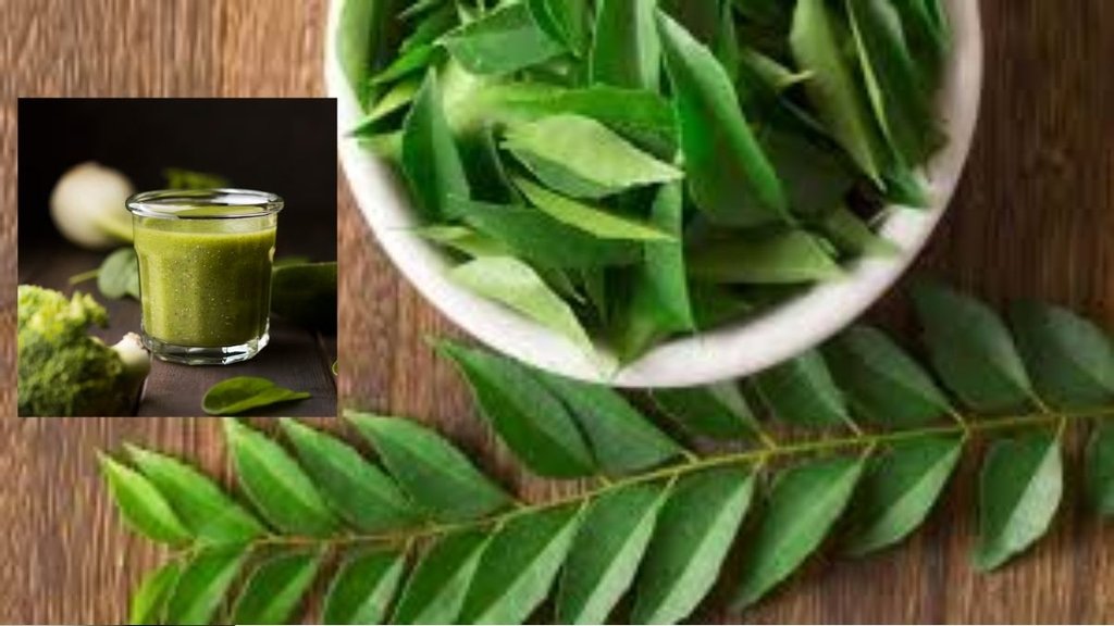 curry leaves juice benefits । Curry Leaves Benefits । curry leaves benefits in hindi