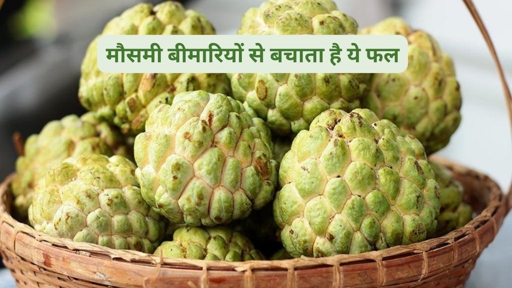 Why custard apple is good for fighting pollution,fruits for cleaning lungs,Custard apple pollution, lung health, Pollution health tips, Custard apple benefits for weight loss