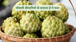 बदलते मौसम में रोजाना 100 ग्राम शरीफा खाएं, बीमारियां हो जाएंगी दूर, अंग-अंग में भर जाएगी ताकत