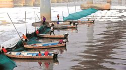 प्रदूषण, मरम्मत का काम… दिल्ली के कई इलाकों में भयंकर जल संकट, जानिए कब तक मिल पाएगी राहत