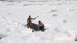 Yamuna Water Row: दिल्ली में यमुना में अमोनिया का स्तर क्यों है इतना ज्यादा, इसे ट्रीट करने के लिए क्या कर रही सरकार?