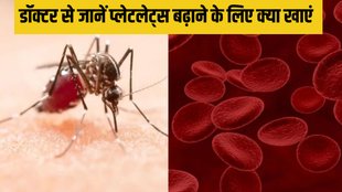 dengue । dengue signs । how to increase platelets