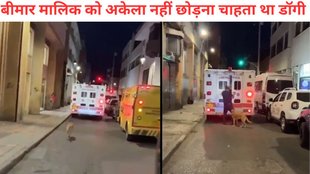 dog, dog emotional video viral, pet dog video